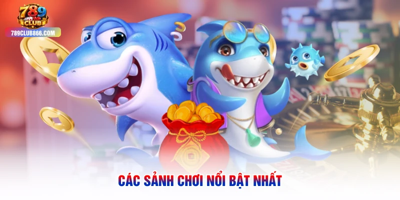 Các sảnh chơi nổi bật nhất